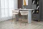 COOLMORE Bar Stools with Back and Footrest Counter Height Bar Chairs