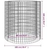 Gabion Fire Pit Ã˜ 39.4" Galvanized Iron