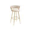 COOLMORE Bar Stools with Back and Footrest Counter Height Bar Chairs