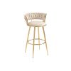COOLMORE Bar Stools with Back and Footrest Counter Height Bar Chairs